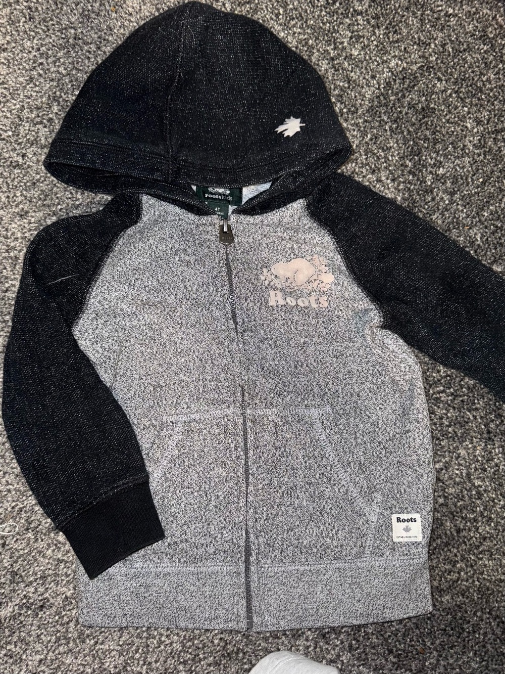 RootsKids Grey Zip Hoodie - 4T